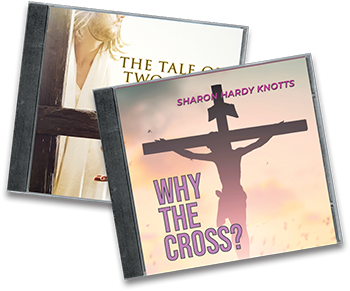 One More Time! & Sin Proof Your Life CD Covers